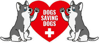 Mobile Logo