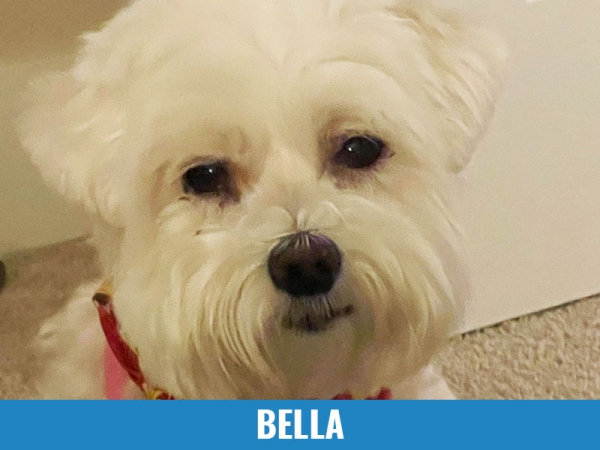 Bella
