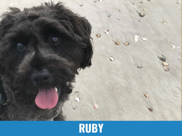 Ruby