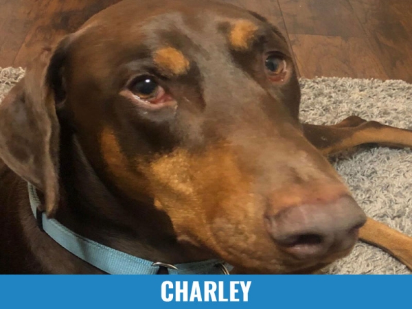Charley