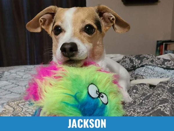 Jackson