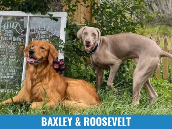 Roosevelt &amp; Baxley