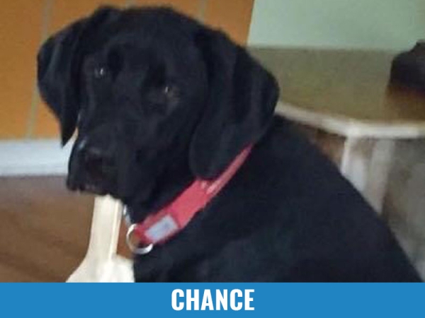 Chance
