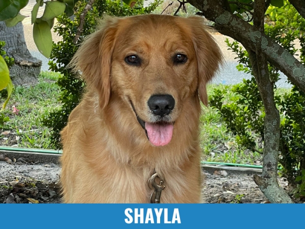 Shayla