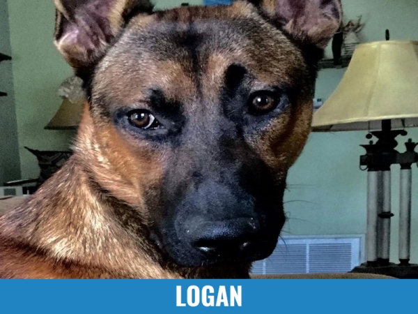 Logan