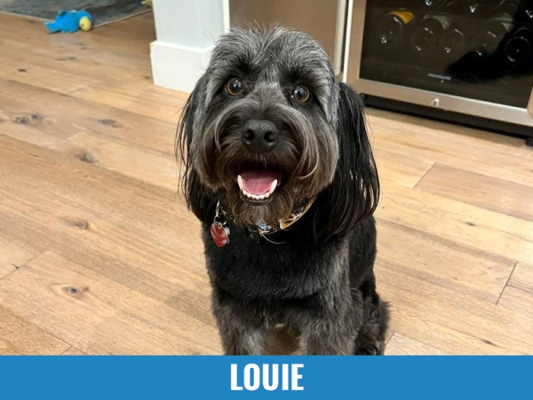 Louie