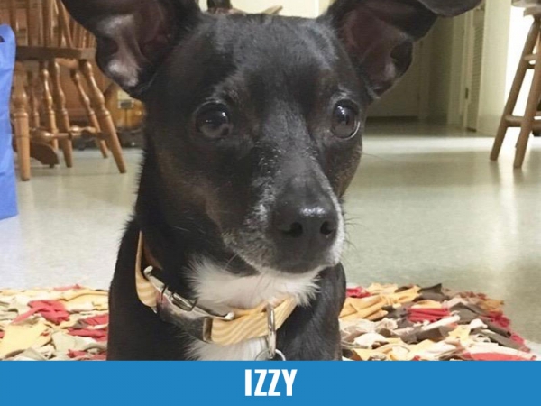 Izzy