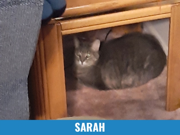Sarah