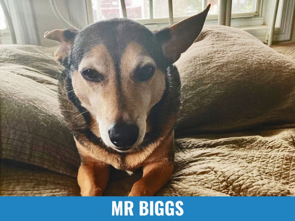 Mr Biggs