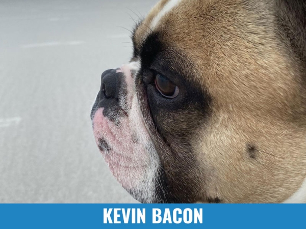 Kevin Bacon