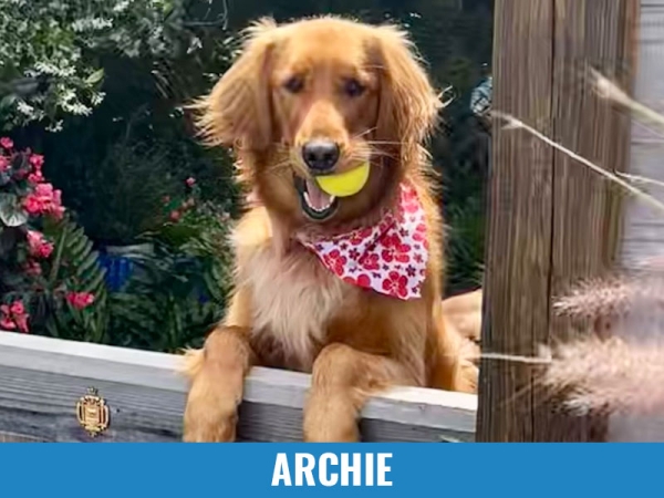 Archie