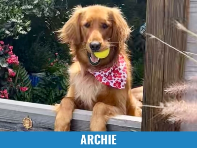 Archie
