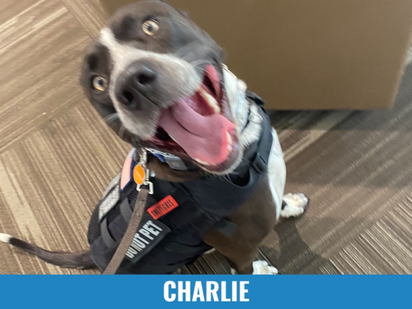 Charlie