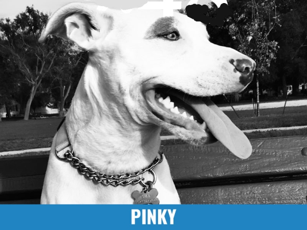 Pinky