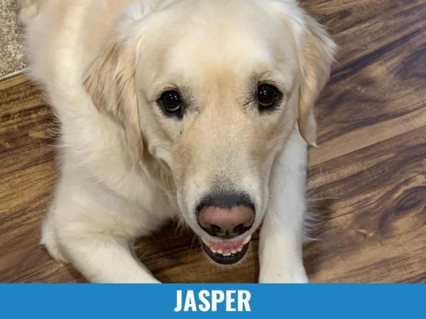 Jasper
