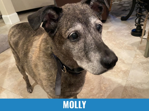 Molly