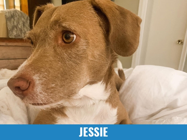 Jessie