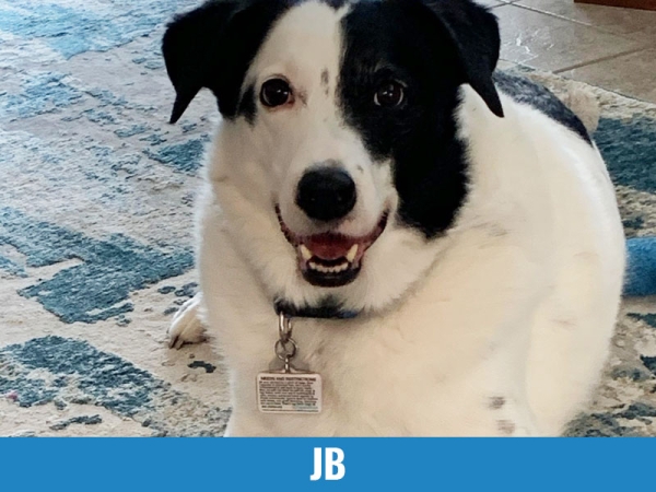 JB