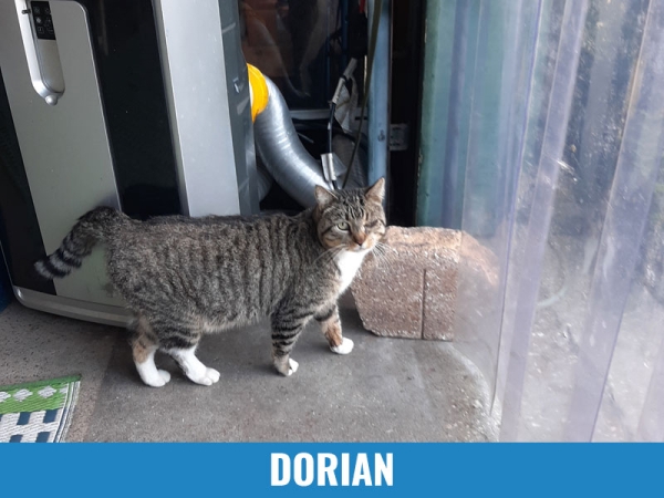 Dorian