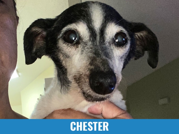 Chester