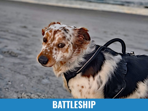 Battleship