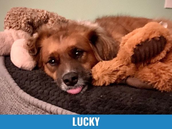 Lucky