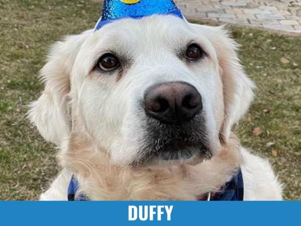 Duffy