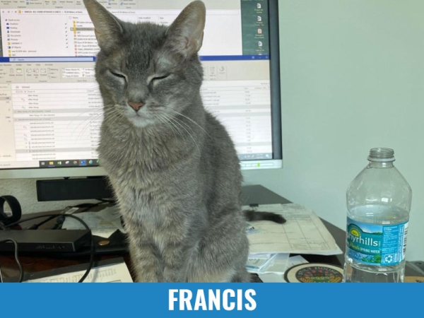 Francis