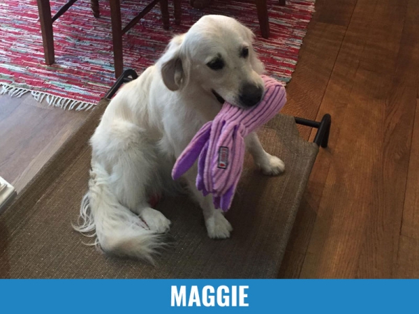 Maggie