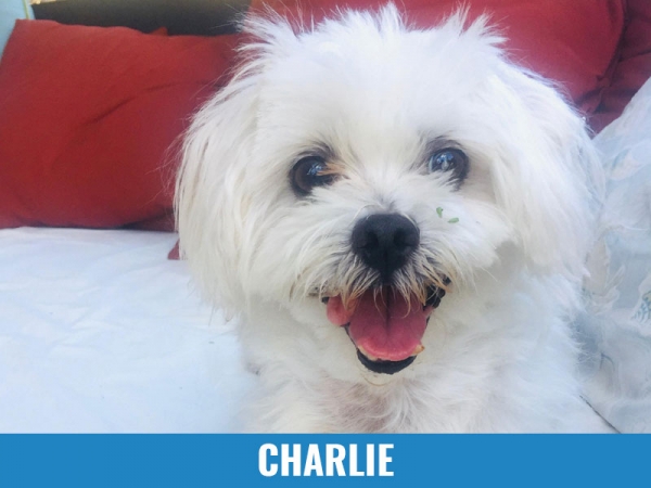 Charlie
