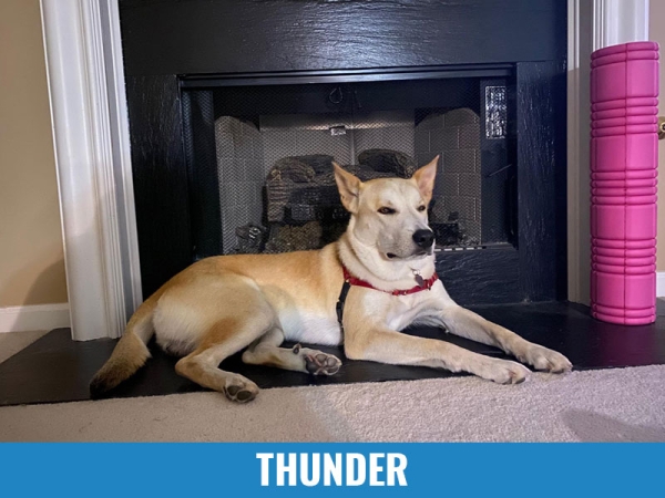 Thunder