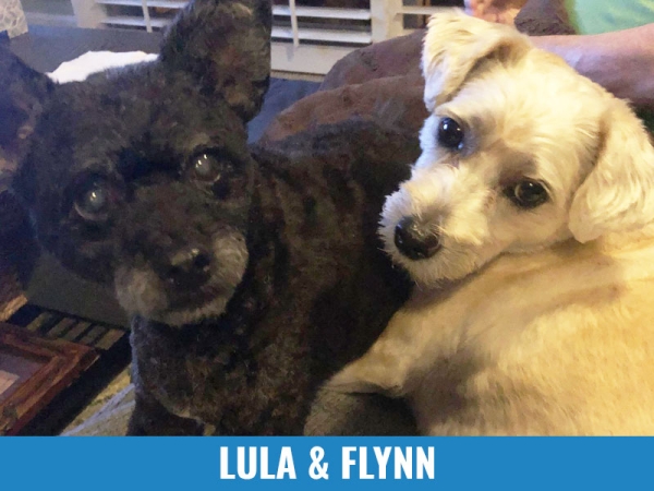 Lula &amp; Flynn