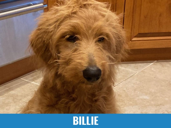 Billie