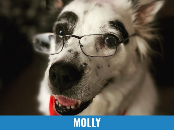 Molly