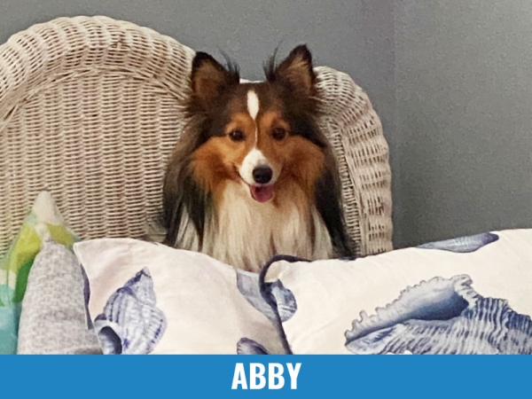 Abby