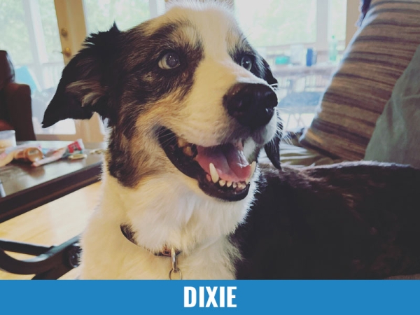 Dixie