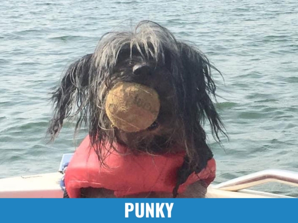 Punky