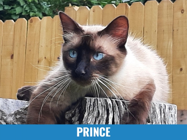 Prince