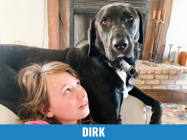 Dirk