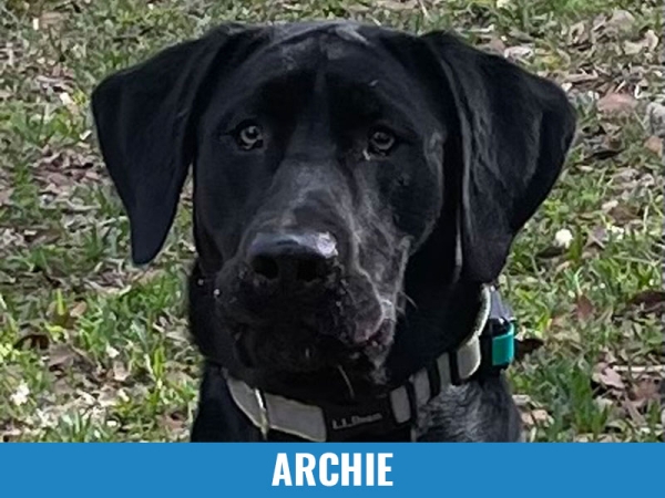 Archie