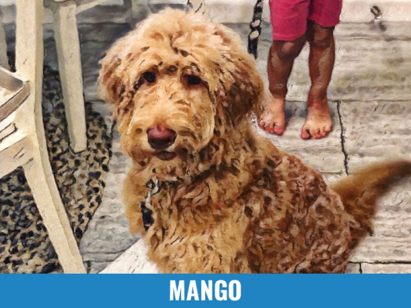 Mango