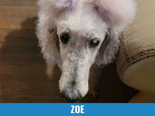 Zoe