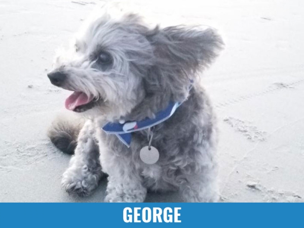 George