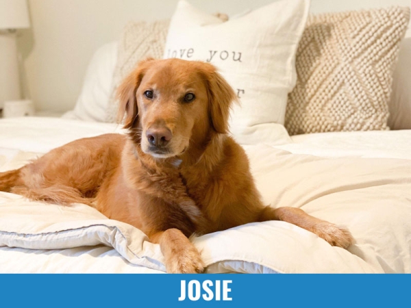 Josie