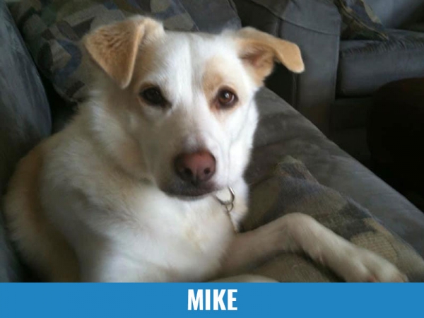 Mike