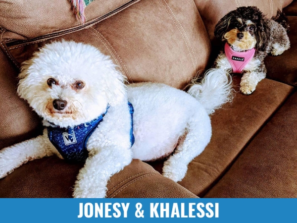 Jonesy &amp; Khalessi