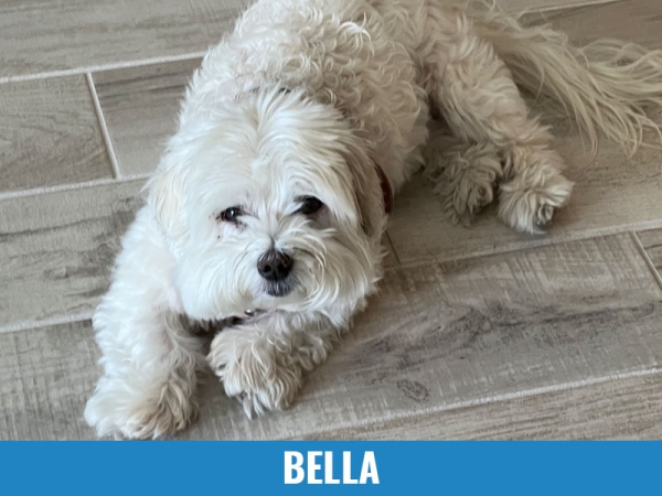 Bella