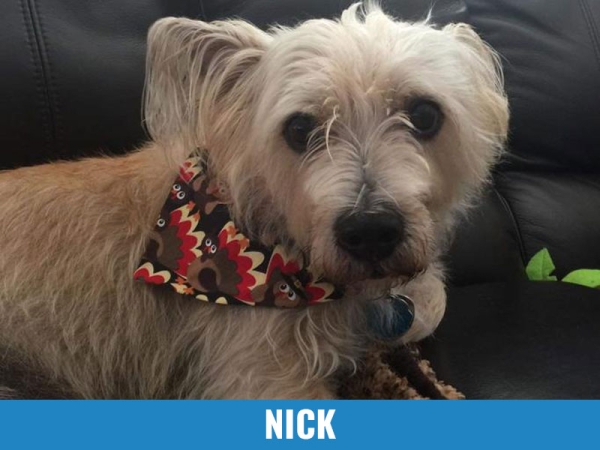 Nick