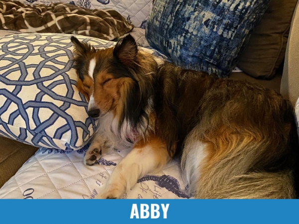 Abby
