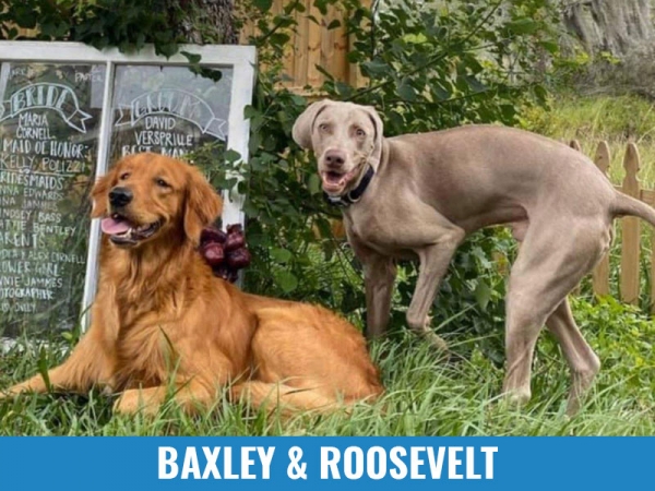 Baxley &amp; Roosevelt